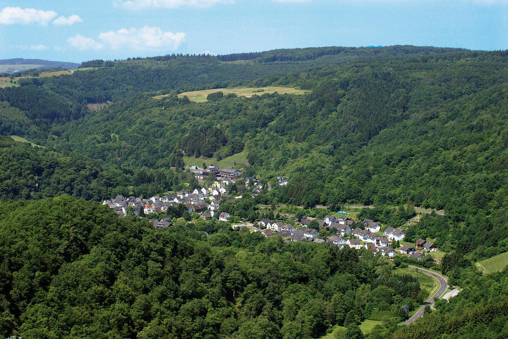 Landhotel Weinhaus Treis Weinähr Dış mekan fotoğraf