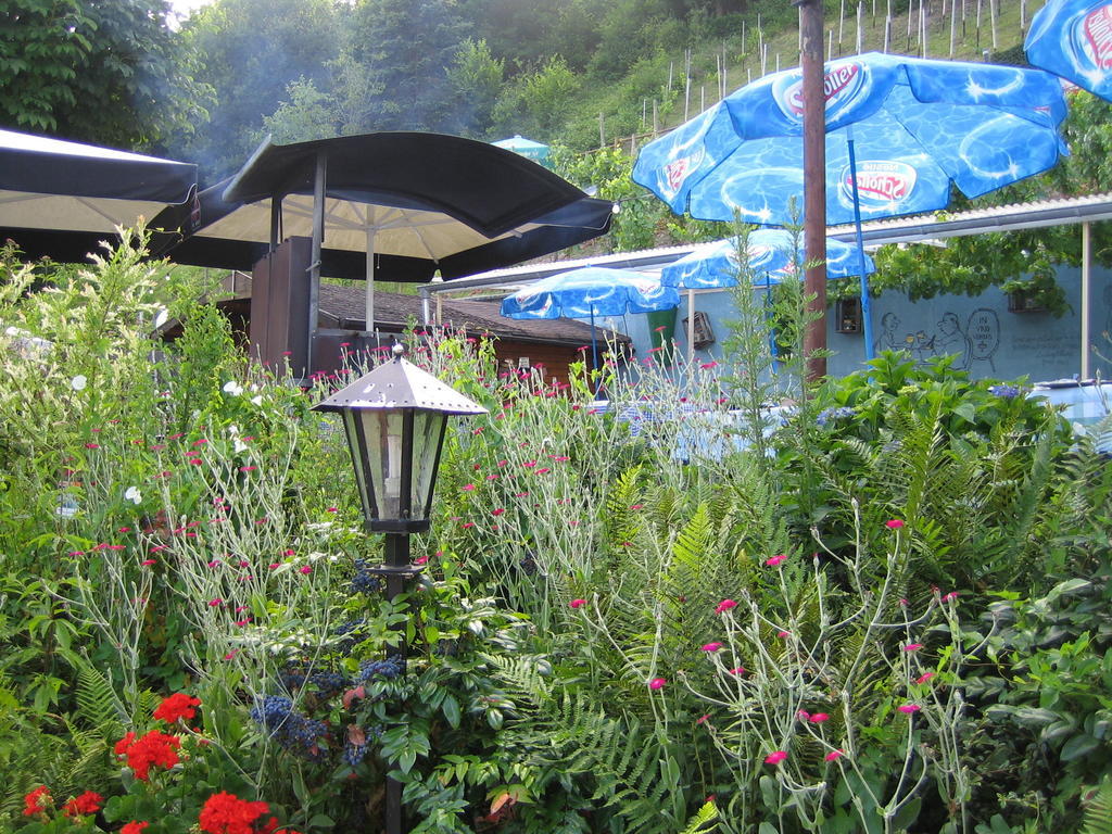 Landhotel Weinhaus Treis Weinähr Dış mekan fotoğraf